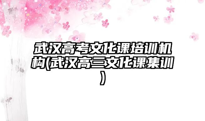 武漢高考文化課培訓(xùn)機(jī)構(gòu)(武漢高三文化課集訓(xùn))