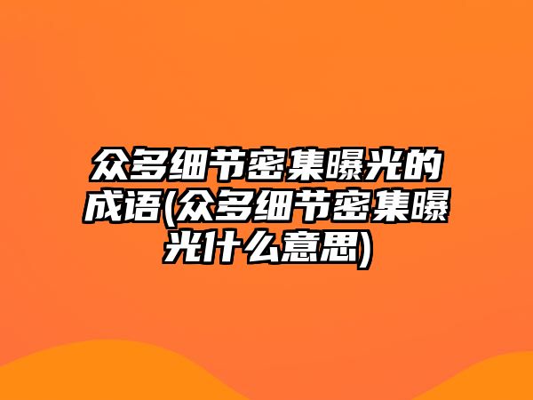 眾多細節(jié)密集曝光的成語(眾多細節(jié)密集曝光什么意思)