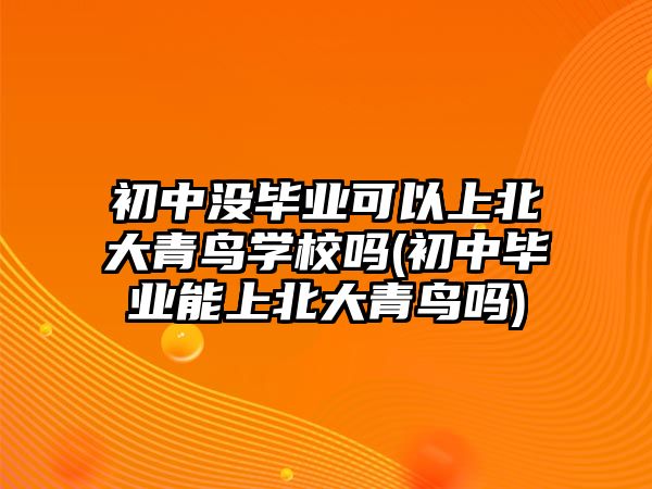 初中沒(méi)畢業(yè)可以上北大青鳥(niǎo)學(xué)校嗎(初中畢業(yè)能上北大青鳥(niǎo)嗎)