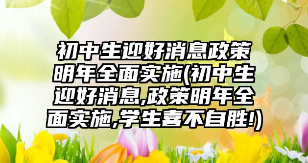 初中生迎好消息政策明年全面實施(初中生迎好消息,政策明年全面實施,學(xué)生喜不自勝!)