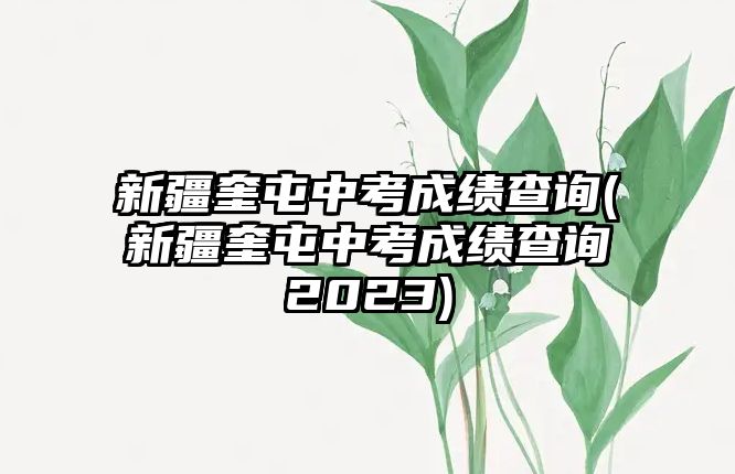 新疆奎屯中考成績(jī)查詢(新疆奎屯中考成績(jī)查詢2023)