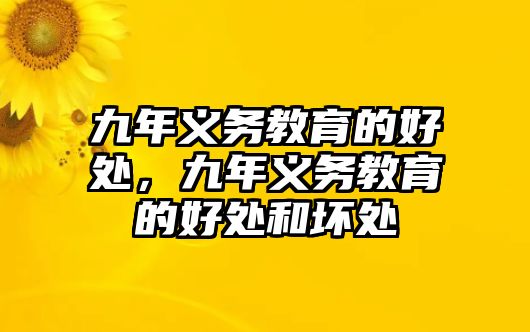 九年義務教育的好處，九年義務教育的好處和壞處