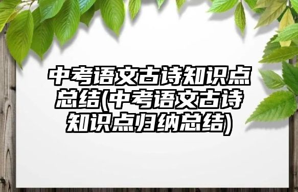 中考語文古詩知識點總結(中考語文古詩知識點歸納總結)