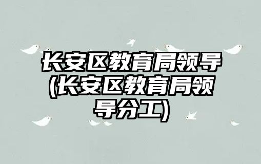 長安區(qū)教育局領(lǐng)導(長安區(qū)教育局領(lǐng)導分工)