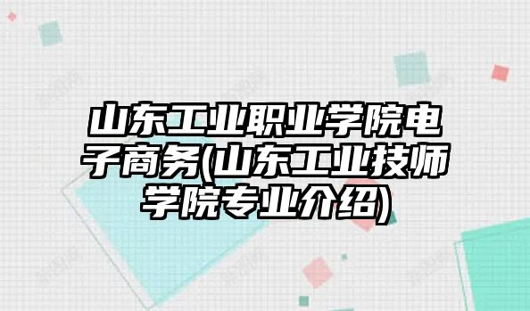 山東工業(yè)職業(yè)學院電子商務(wù)(山東工業(yè)技師學院專業(yè)介紹)