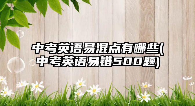 中考英語易混點(diǎn)有哪些(中考英語易錯500題)