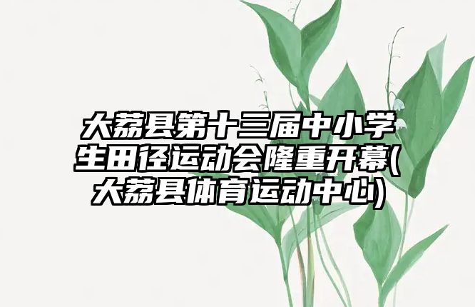 大荔縣第十三屆中小學生田徑運動會隆重開幕(大荔縣體育運動中心)