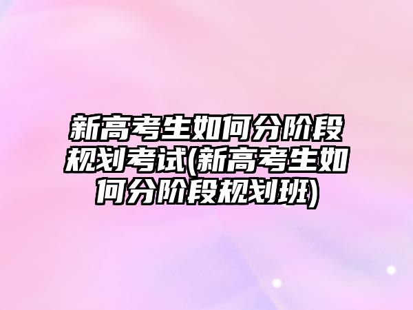 新高考生如何分階段規(guī)劃考試(新高考生如何分階段規(guī)劃班)