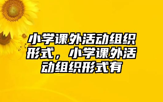 小學(xué)課外活動組織形式，小學(xué)課外活動組織形式有