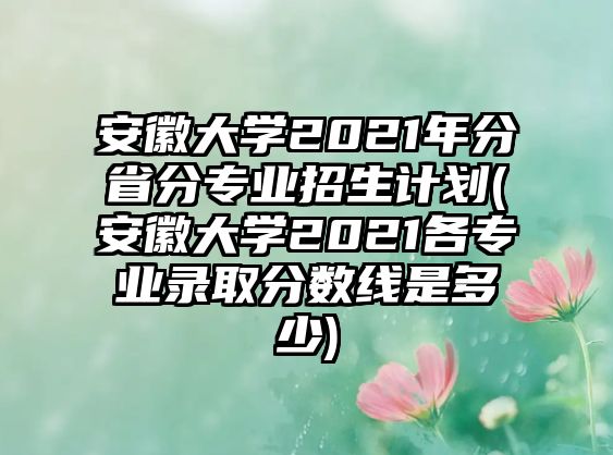 安徽大學2021年分省分專業(yè)招生計劃(安徽大學2021各專業(yè)錄取分數(shù)線是多少)