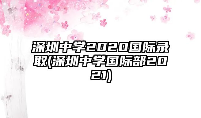 深圳中學2020國際錄取(深圳中學國際部2021)