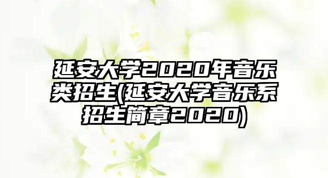 延安大學2020年音樂類招生(延安大學音樂系招生簡章2020)