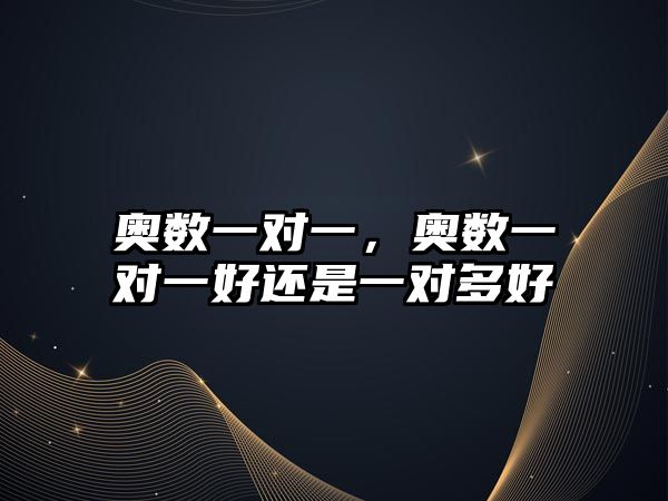 奧數(shù)一對一，奧數(shù)一對一好還是一對多好