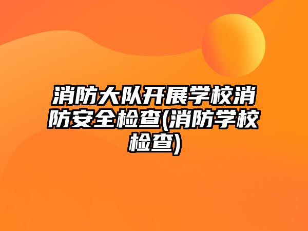 消防大隊開展學校消防安全檢查(消防學校檢查)