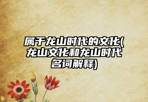 屬于龍山時(shí)代的文化(龍山文化和龍山時(shí)代名詞解釋)