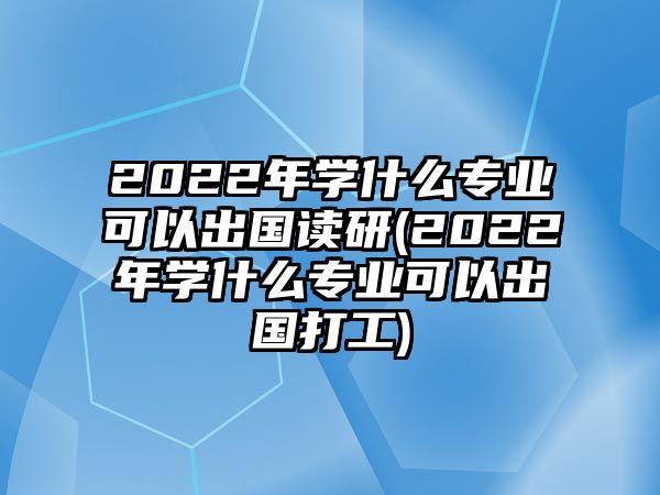 2022年學(xué)什么專(zhuān)業(yè)可以出國(guó)讀研(2022年學(xué)什么專(zhuān)業(yè)可以出國(guó)打工)