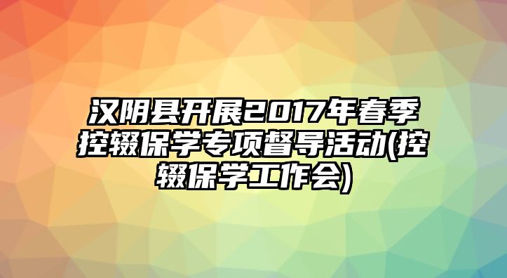 漢陰縣開展2017年春季控輟保學專項督導活動(控輟保學工作會)