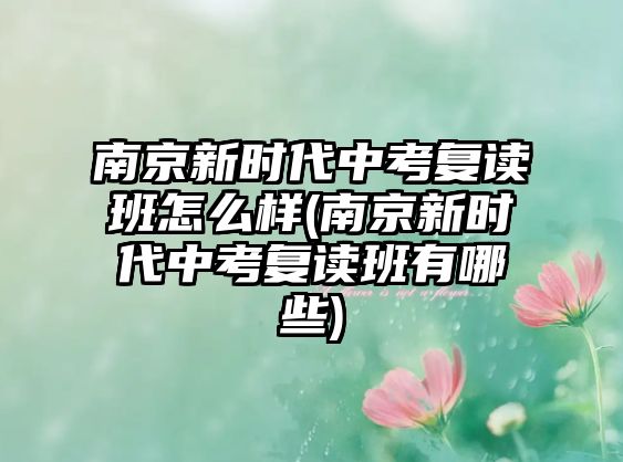 南京新時(shí)代中考復(fù)讀班怎么樣(南京新時(shí)代中考復(fù)讀班有哪些)