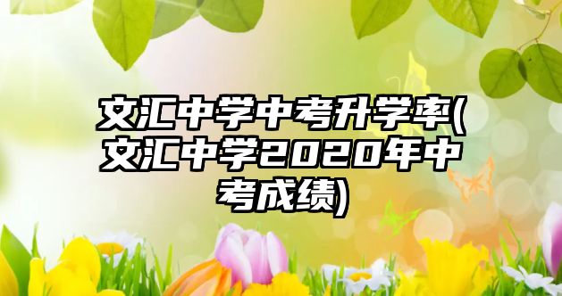 文匯中學(xué)中考升學(xué)率(文匯中學(xué)2020年中考成績)