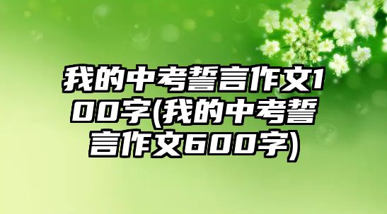 我的中考誓言作文100字(我的中考誓言作文600字)