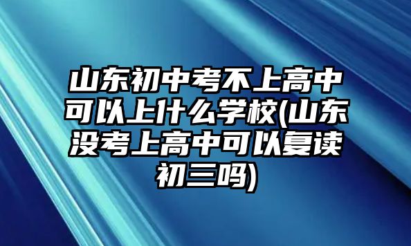 山東初中考不上高中可以上什么學校(山東沒考上高中可以復讀初三嗎)