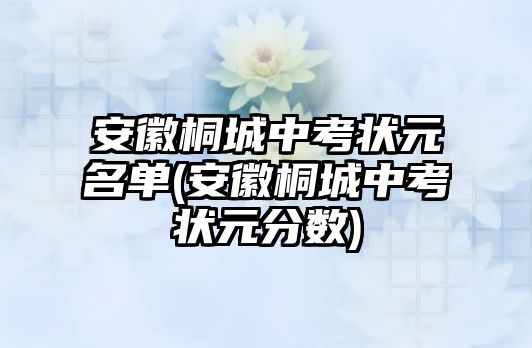 安徽桐城中考狀元名單(安徽桐城中考狀元分?jǐn)?shù))