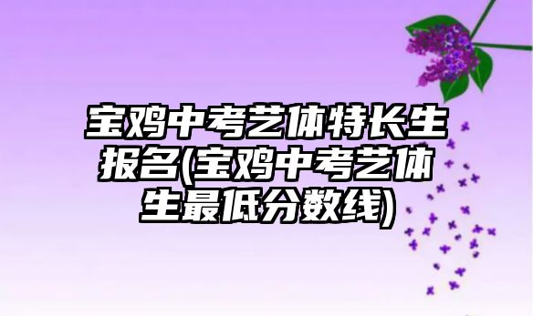 寶雞中考藝體特長生報名(寶雞中考藝體生最低分數線)