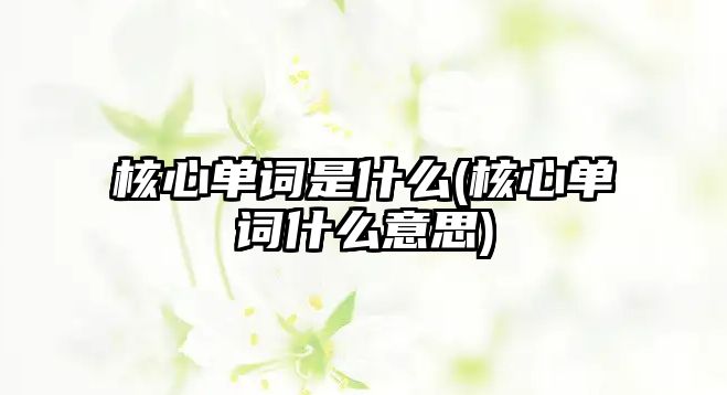 核心單詞是什么(核心單詞什么意思)