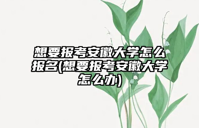 想要報考安徽大學(xué)怎么報名(想要報考安徽大學(xué)怎么辦)