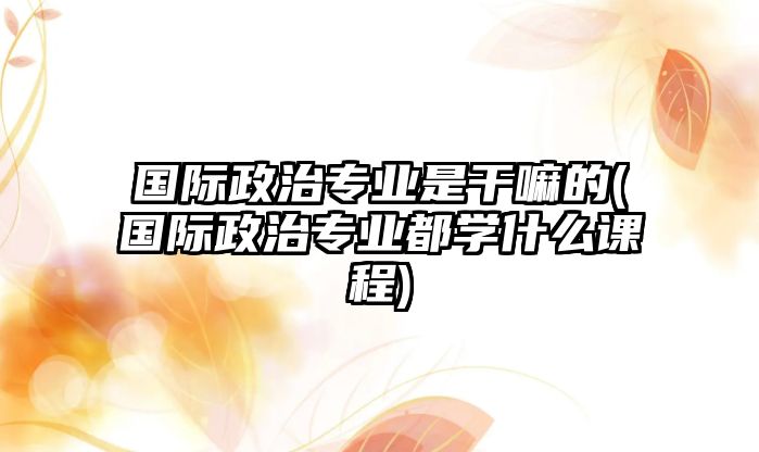 國際政治專業(yè)是干嘛的(國際政治專業(yè)都學(xué)什么課程)