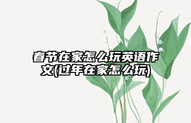 春節(jié)在家怎么玩英語作文(過年在家怎么玩)