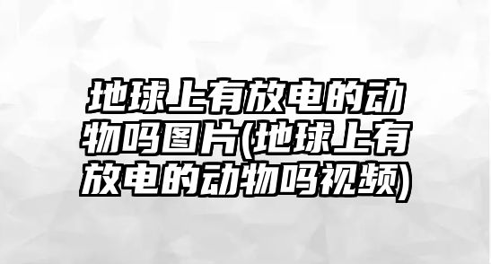 地球上有放電的動物嗎圖片(地球上有放電的動物嗎視頻)