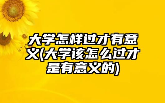 大學(xué)怎樣過(guò)才有意義(大學(xué)該怎么過(guò)才是有意義的)