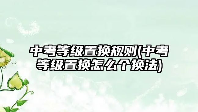 中考等級(jí)置換規(guī)則(中考等級(jí)置換怎么個(gè)換法)