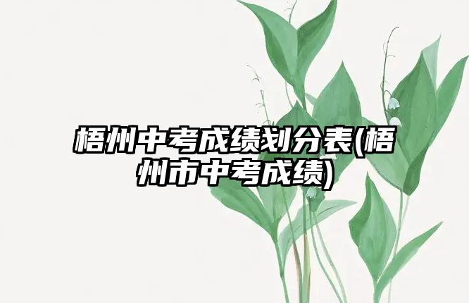 梧州中考成績劃分表(梧州市中考成績)