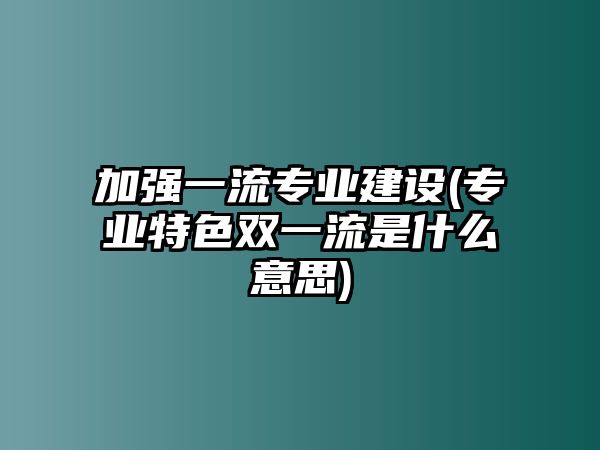 加強(qiáng)一流專業(yè)建設(shè)(專業(yè)特色雙一流是什么意思)