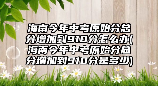 海南今年中考原始分總分增加到910分怎么辦(海南今年中考原始分總分增加到910分是多少)