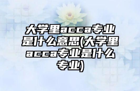 大學(xué)里acca專業(yè)是什么意思(大學(xué)里acca專業(yè)是什么專業(yè))