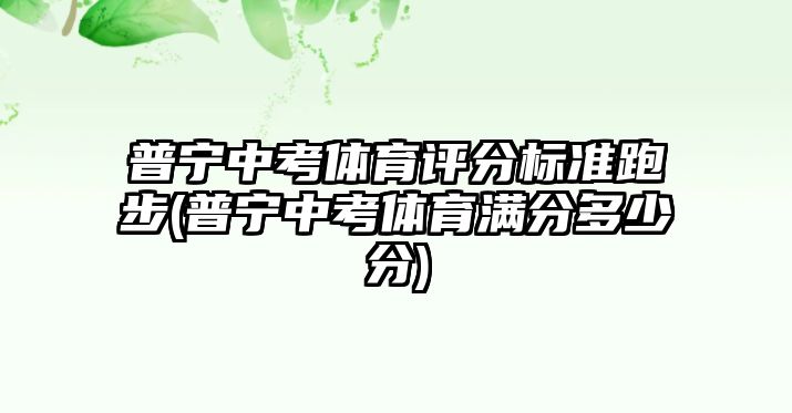 普寧中考體育評分標準跑步(普寧中考體育滿分多少分)