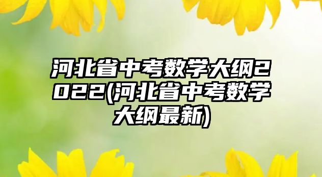 河北省中考數(shù)學(xué)大綱2022(河北省中考數(shù)學(xué)大綱最新)