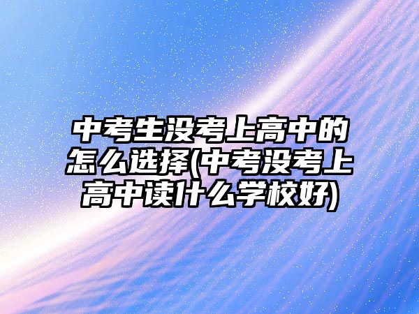 中考生沒考上高中的怎么選擇(中考沒考上高中讀什么學校好)