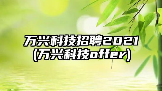 萬興科技招聘2021(萬興科技o(jì)ffer)