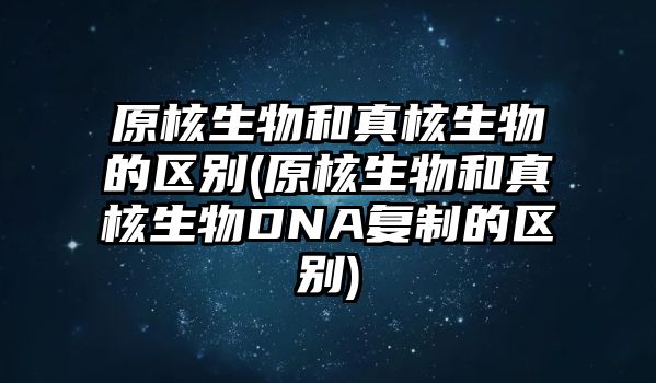 原核生物和真核生物的區(qū)別(原核生物和真核生物DNA復制的區(qū)別)