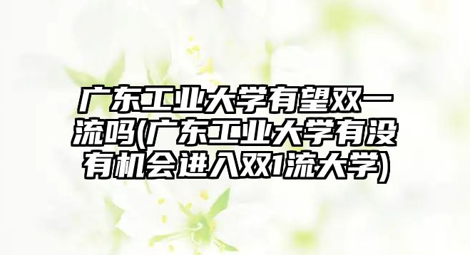 廣東工業(yè)大學(xué)有望雙一流嗎(廣東工業(yè)大學(xué)有沒有機會進入雙1流大學(xué))