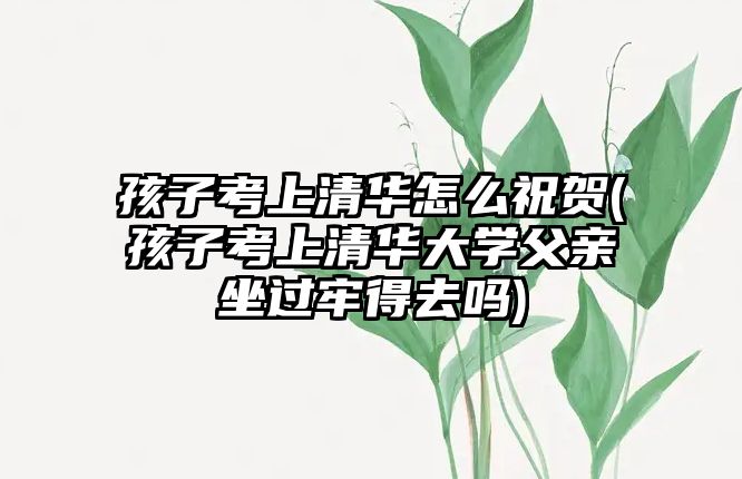 孩子考上清華怎么祝賀(孩子考上清華大學(xué)父親坐過牢得去嗎)