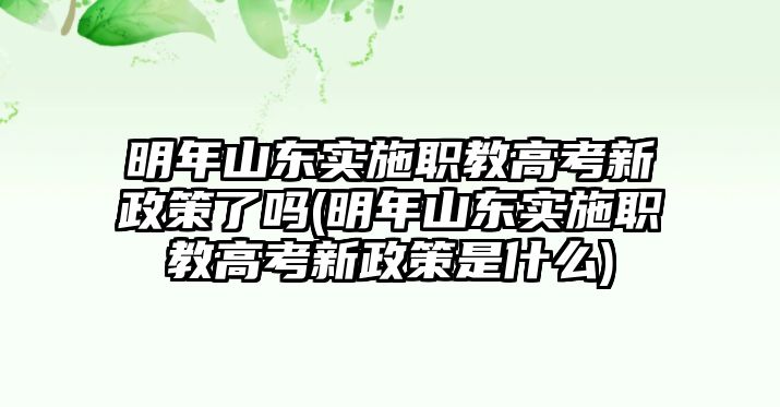 明年山東實(shí)施職教高考新政策了嗎(明年山東實(shí)施職教高考新政策是什么)