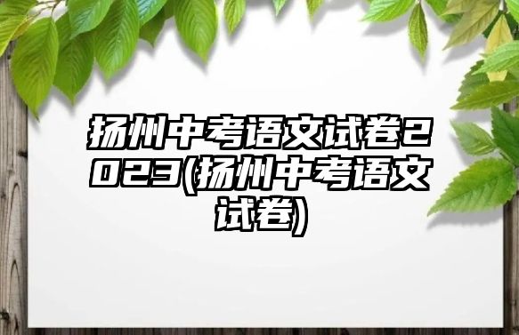 揚州中考語文試卷2023(揚州中考語文試卷)