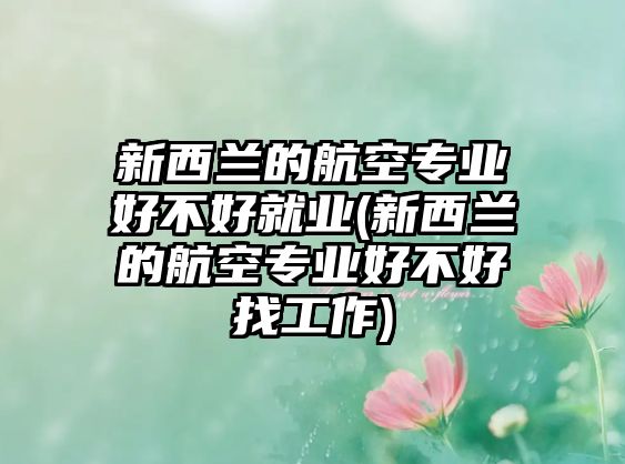 新西蘭的航空專業(yè)好不好就業(yè)(新西蘭的航空專業(yè)好不好找工作)