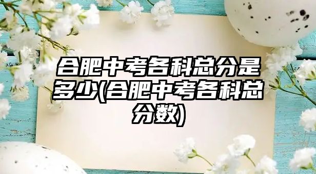 合肥中考各科總分是多少(合肥中考各科總分數(shù))