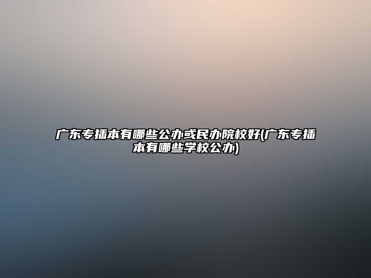 廣東專插本有哪些公辦或民辦院校好(廣東專插本有哪些學(xué)校公辦)